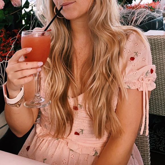Hello Molly Dresses & Skirts - Hello Molly Pink Roses Dress